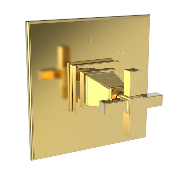 Newport Brass Shower Trim Plate W/ Handle. Less Showerhead, Arm And Flange, Gold 4-3154BP-24 - main